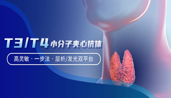 【小分子夾心法】甲功T3/T4，高靈敏&一步法